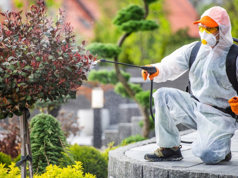 Doğançay Haşere İlaçlama